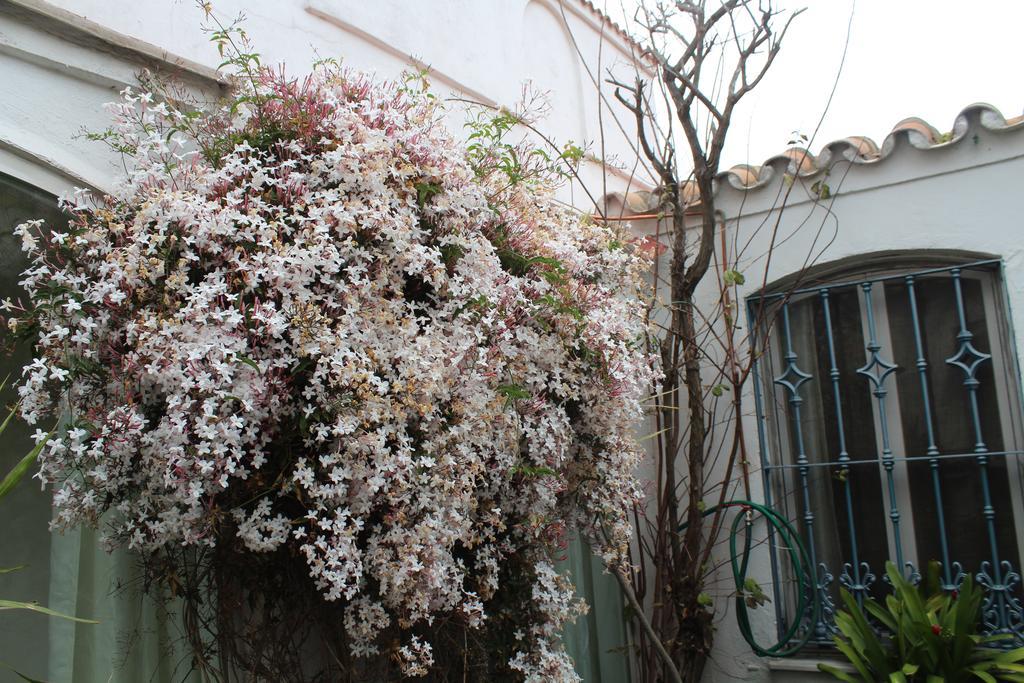 Casa Colonia Villa La Línea de la Concepción Buitenkant foto